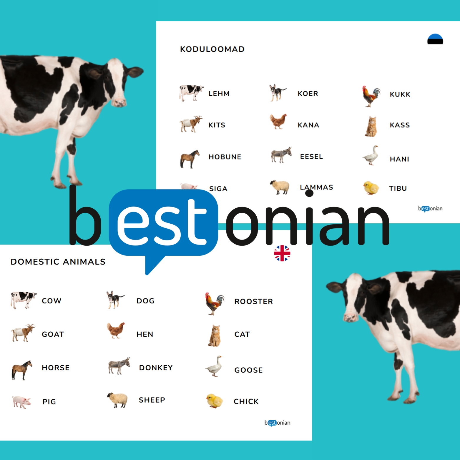 Loomade memoriin (eesti-inglise) - Image 2