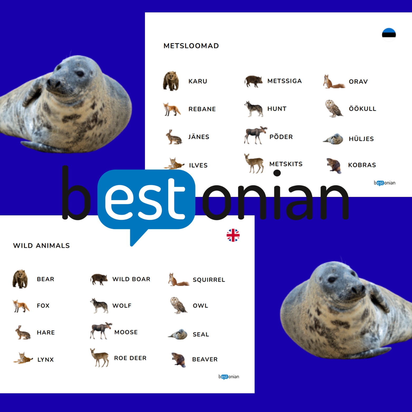 Loomade memoriin (eesti-inglise) - Image 3
